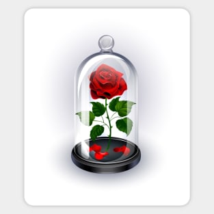 Red Rose Under Dome on White Background Sticker